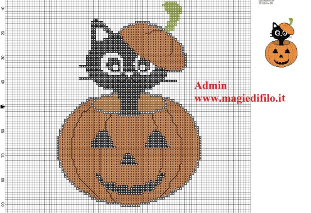 black_cat_in_halloween_pumpkin