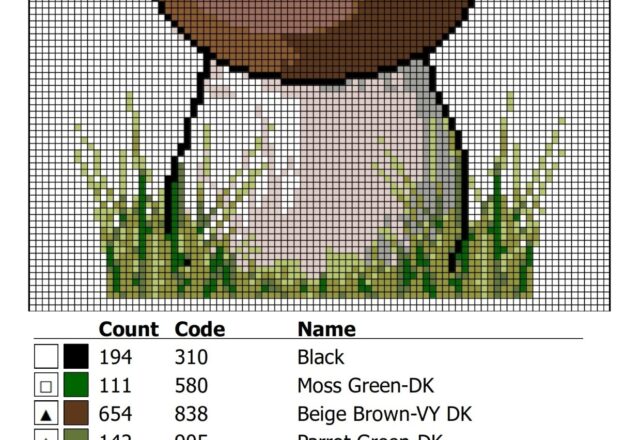 cross_stitch_pattern_of_a_pore_mushroom_made_with_cstitch