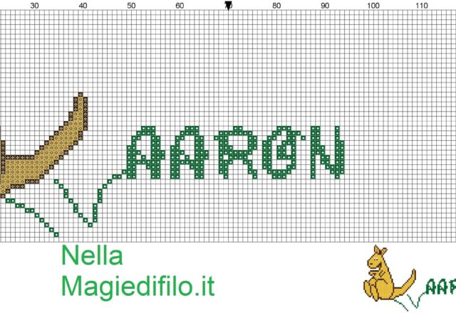 name_aaron_with_kangaroo