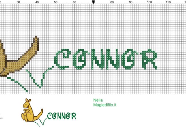 name_connor_with_kangaroo