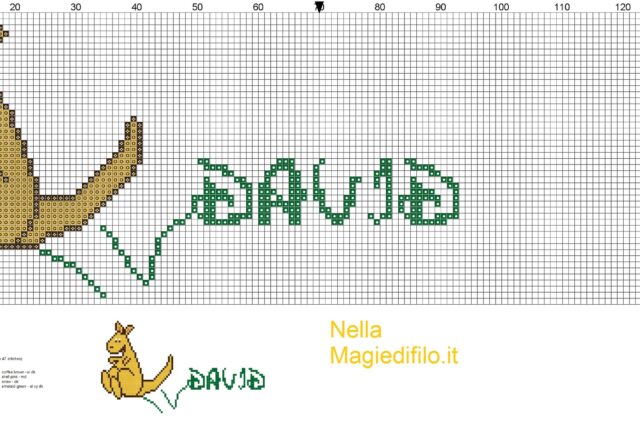 name_david_with_kangaroo