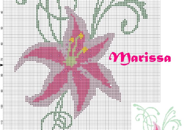 pink_lily_flower_stylized